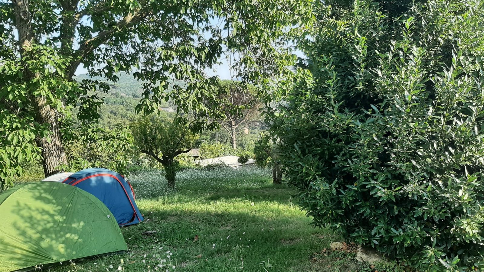 Allestiamo il Uasi Camp — Cantiere · vita in camper, diario di Diario di Uasi