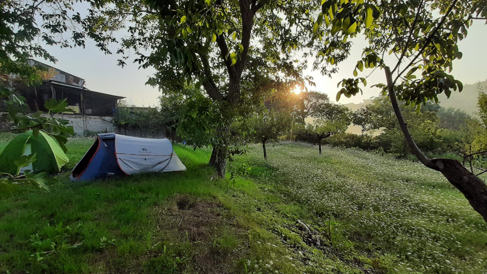 Secondo giorno di restauro e messa in sicurezza del Uasi Camp — Cantiere · vita in camper, diario di Diario di Uasi