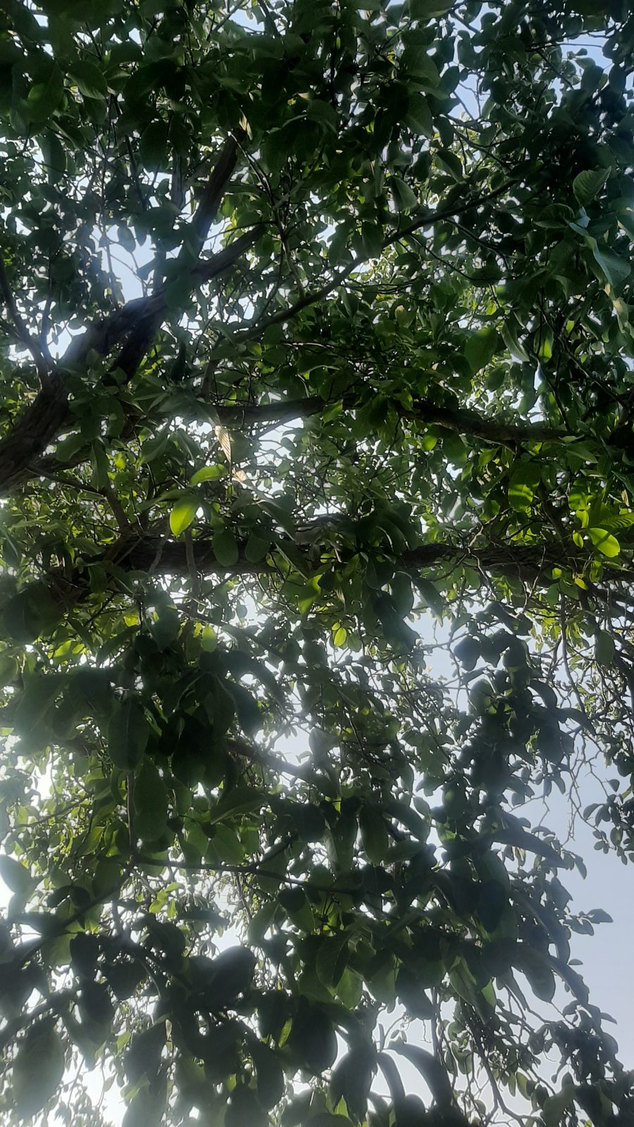 Mattinata di spiacevoli sorprese — Natura · vita in camper, diario di Diario di Uasi