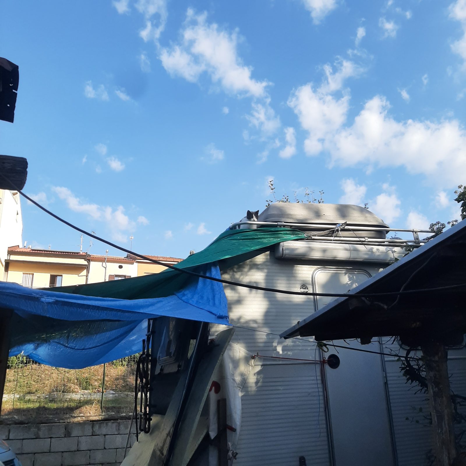 Finalmente Uasi ha un pavimento — Cantiere · vita in camper, diario di Diario di Uasi